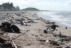 Water Pollution along a beach.